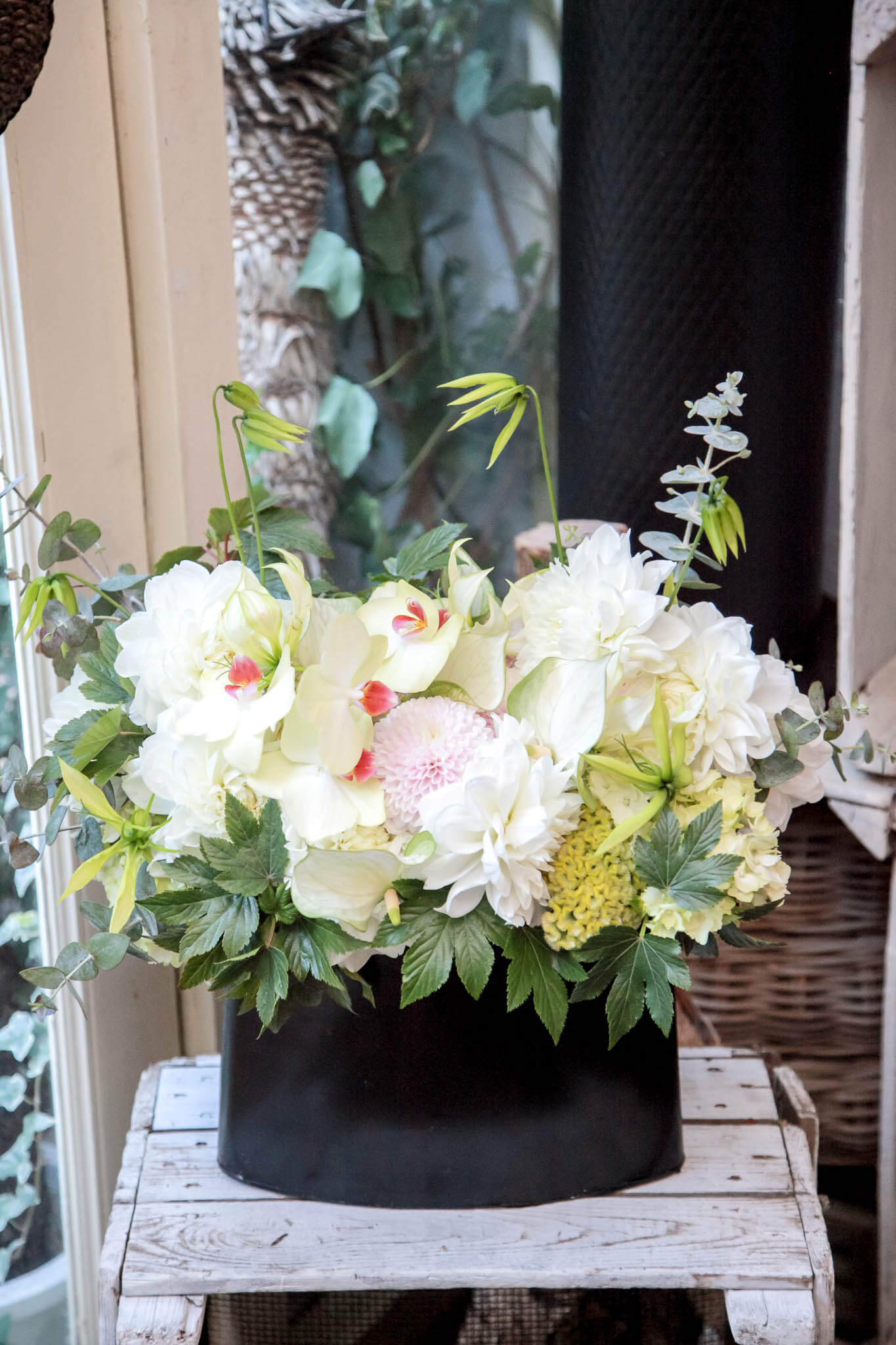 ロタ フラワーアレンジメント おしゃれな花ギフトの通販 Flower