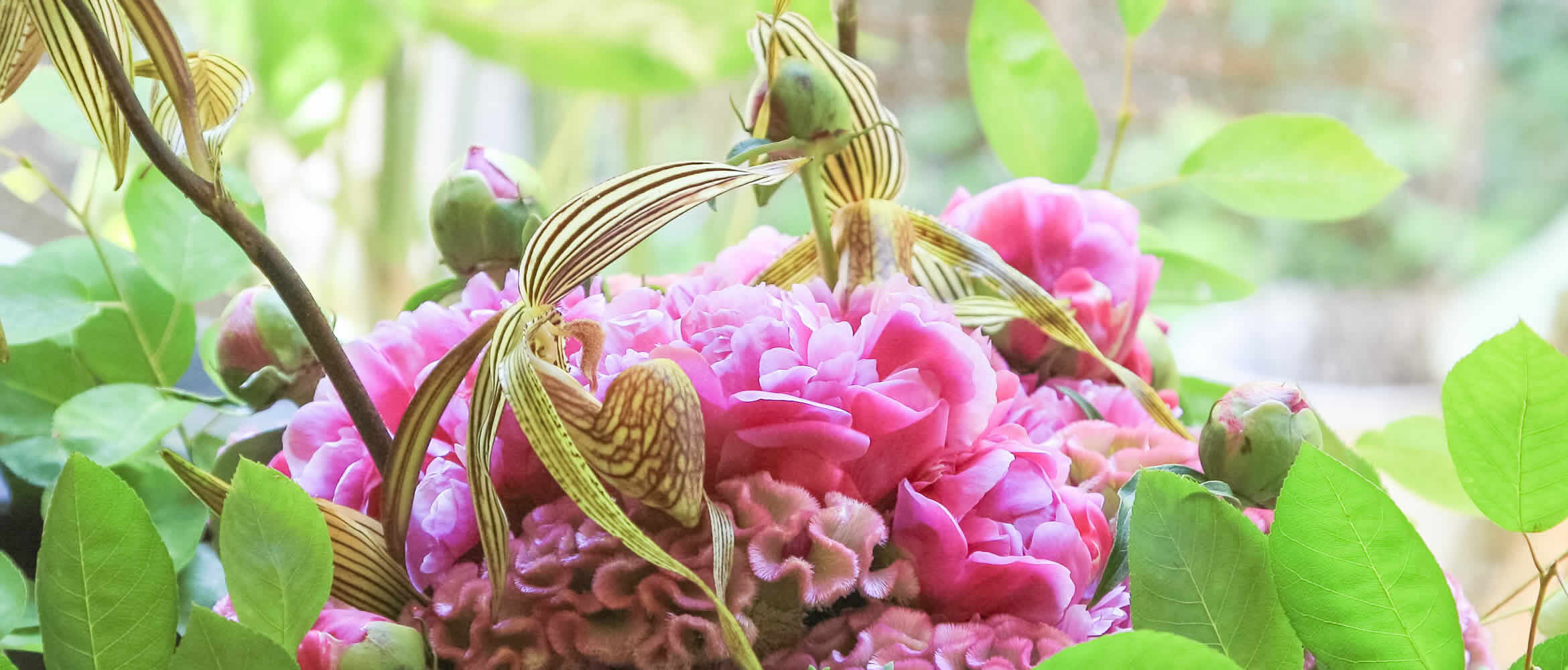 即日配達 おしゃれな花ギフトの通販 Flower