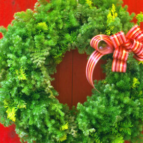 針葉樹のクリスマスリース : おしゃれな花ギフトの通販 : @FLOWER