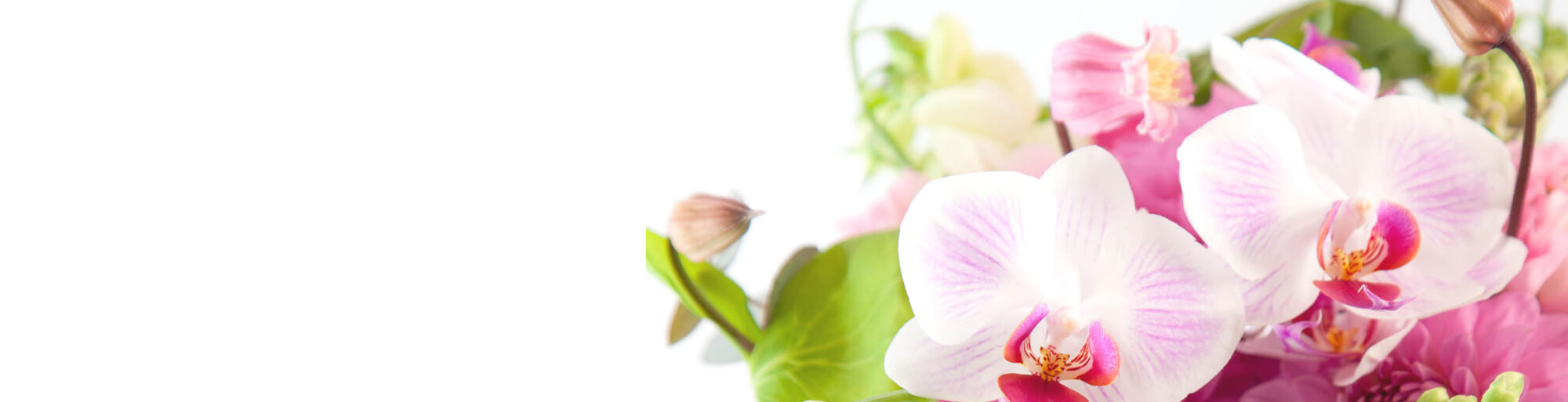 おしゃれな花ギフトの通販＠ FLOWERの福井市の花屋のアイキャッチ画像