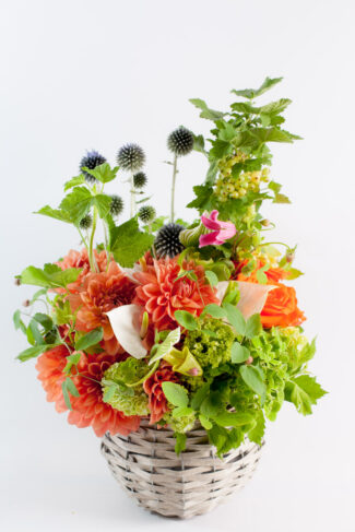 出産祝いに贈る花の画像