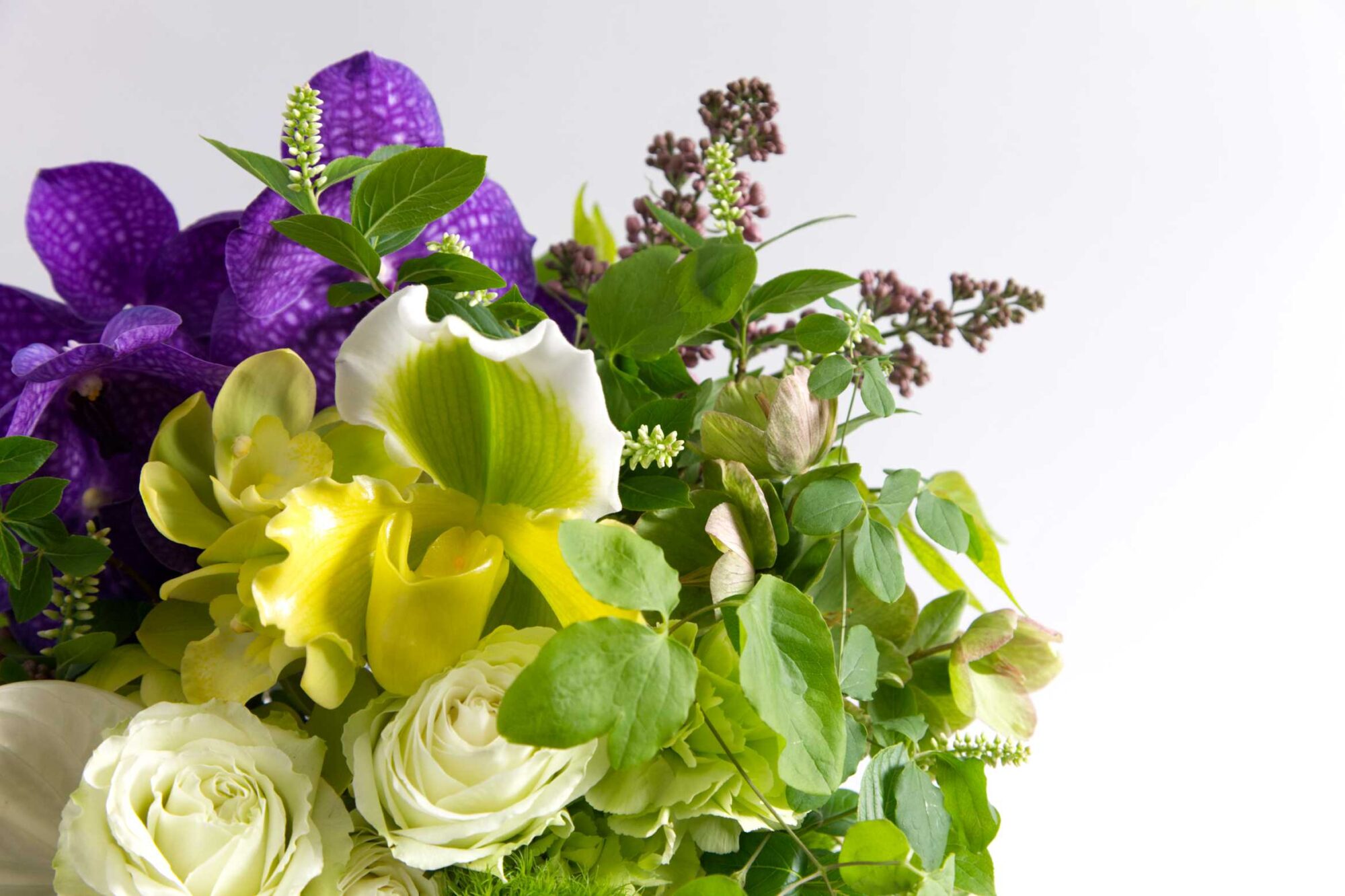 父の日 おしゃれな花ギフト 通販