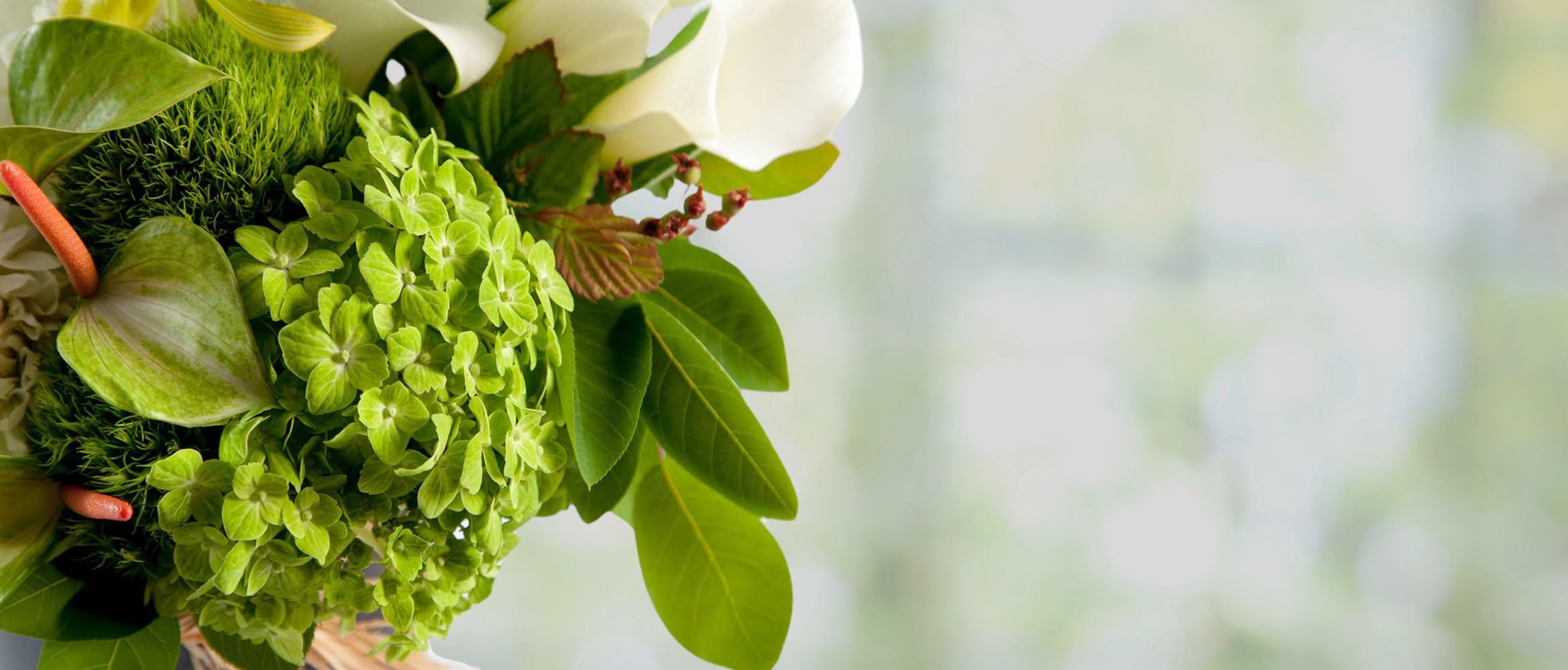 cadeaux de fleurs d'été.