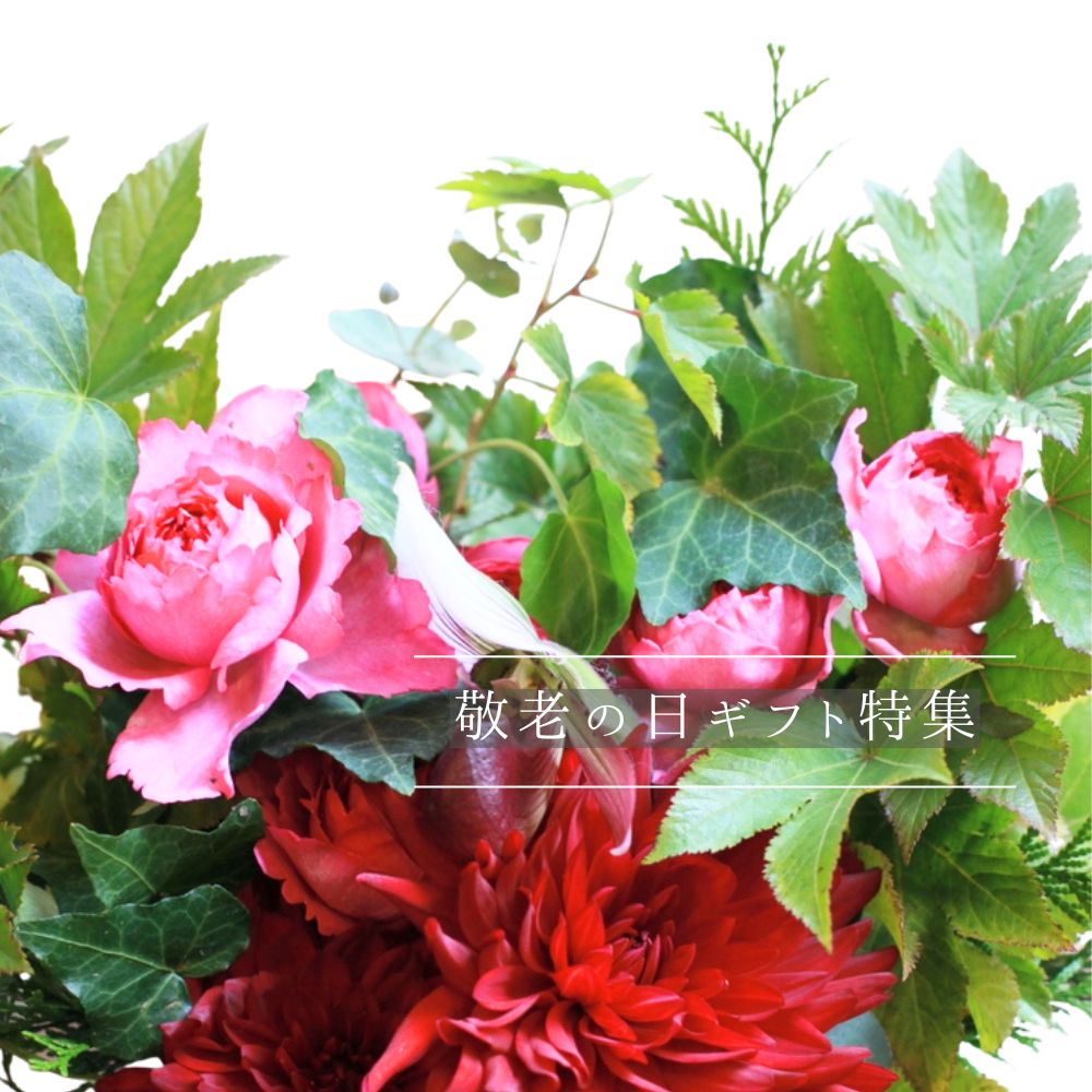 敬老の日　花ギフト　赤ピンクのアレンジメント